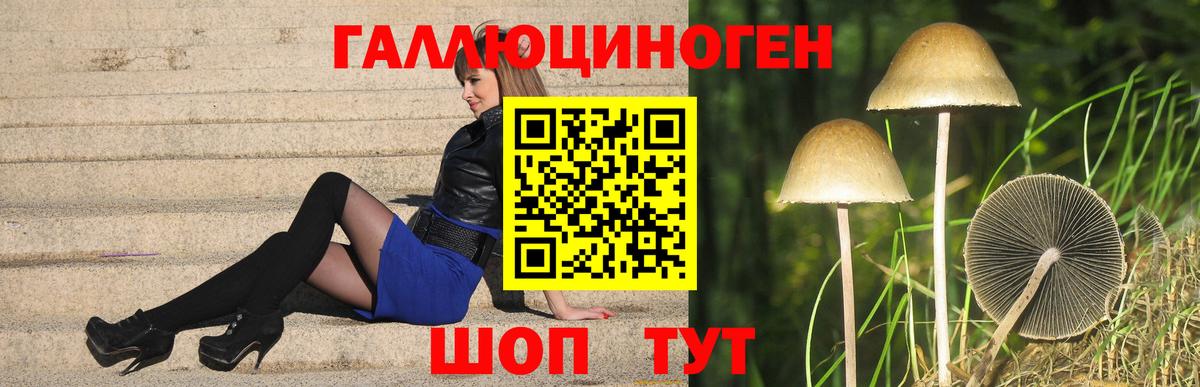 Галлюциногенные грибы мицелий  Псилоцибиновые грибы мухоморы  Тулун  Вход с VPN 