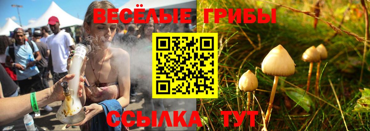 Галлюциногенные грибы MAGIC MUSHROOMS Тулун