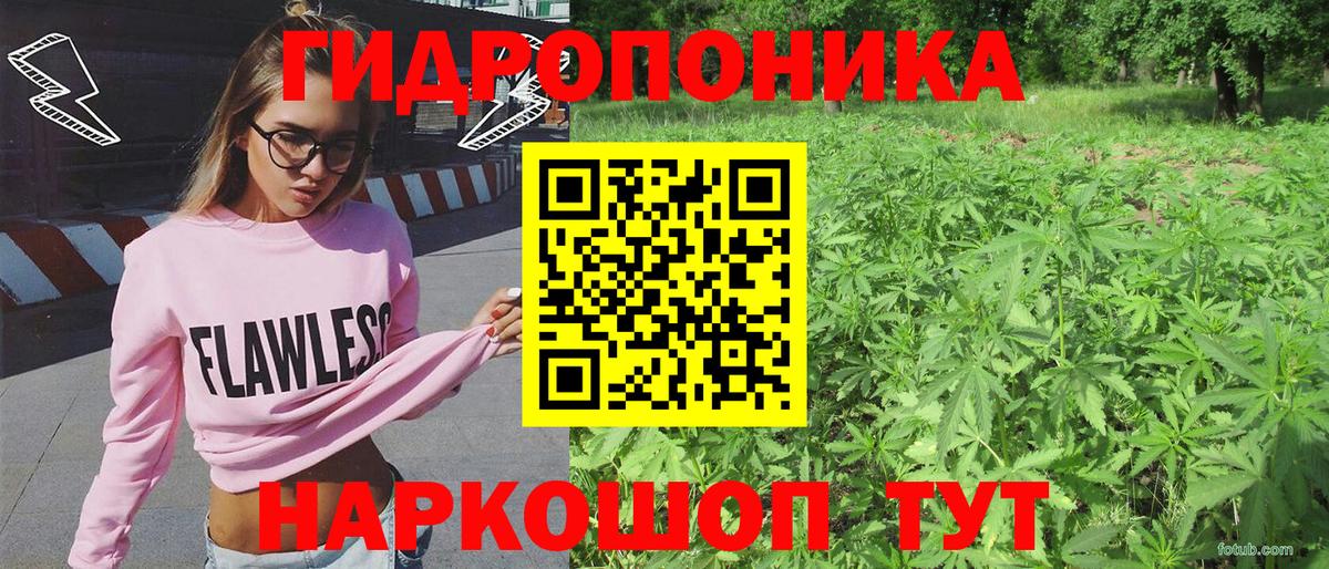 Канабис гибрид Тулун